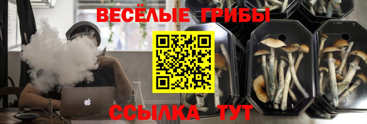 Нижнеудинск  Галлюциногенные грибы прущие грибы  Вход с VPN 